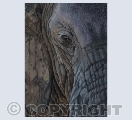 Themba - Trust, Hope and Faith