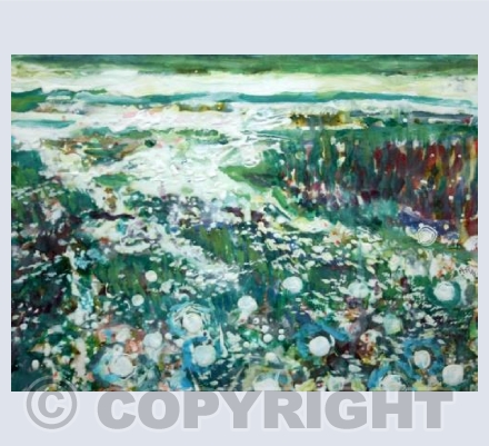 Wild meadow in Spring