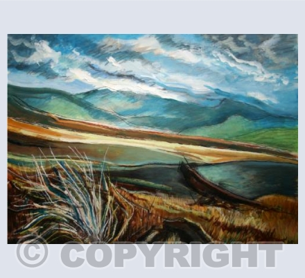 Dried grasses and hills