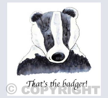 That's the badger