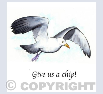 Give us a chip