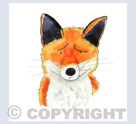 Fox