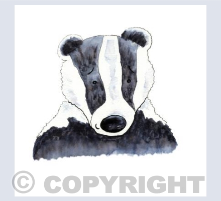 Badger