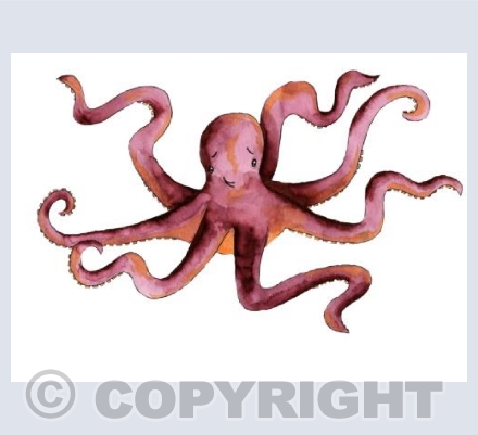 Octopus