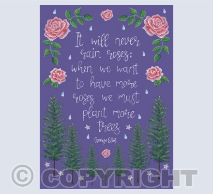 It will never rain roses