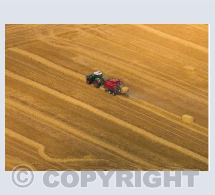 Harvest, Marlborough Downs 