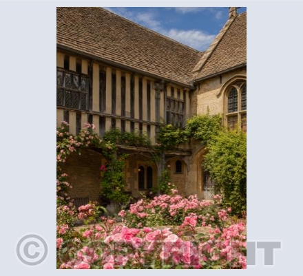 Well Court, Great Chalfield Manor