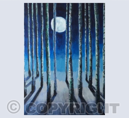 Winter in the forest