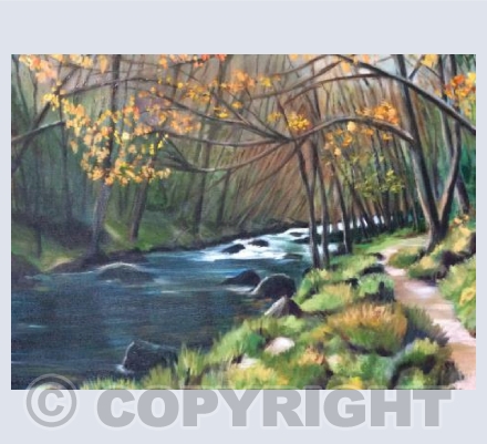 River Teign Autumn