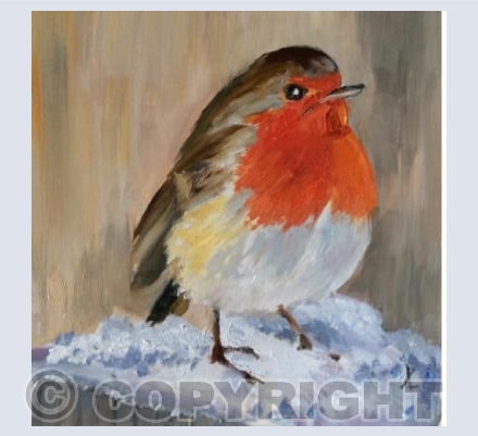 Frosty Robin