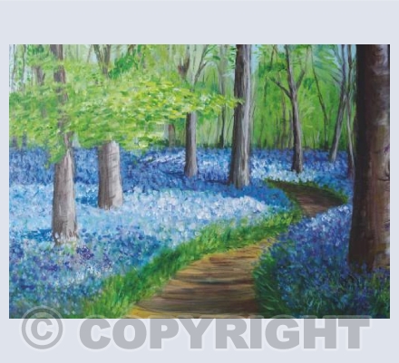 Bluebell Woods