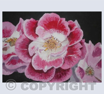 Rosa Mundi