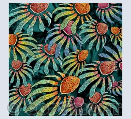 'Flora or Fauna'