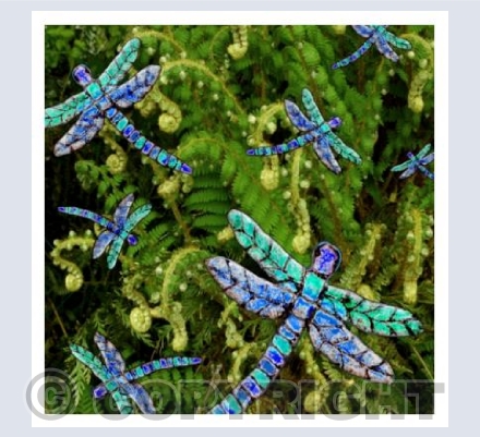 'Dragonflies"