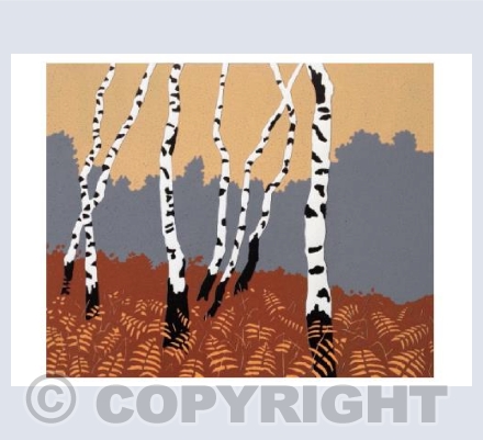 "Autumn Birches'