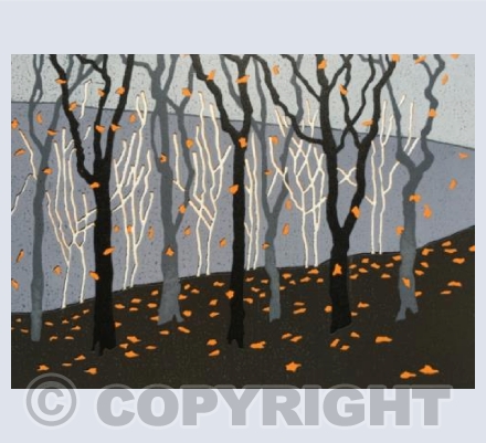 Yarner Wood