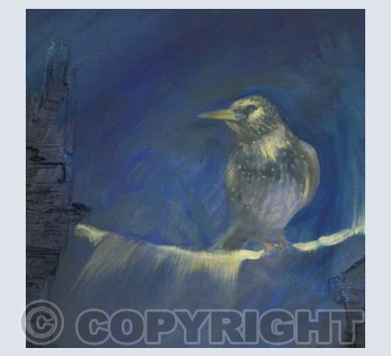 Starling