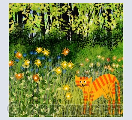 Skinny cat in the back garden