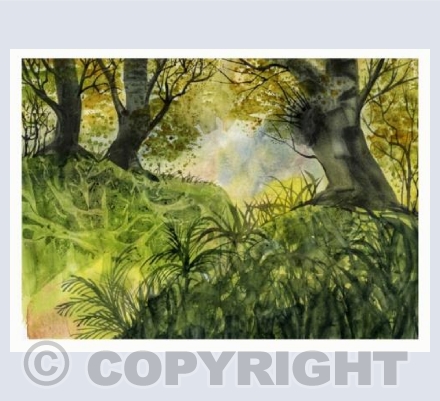 The edge of the woods near Grumbla