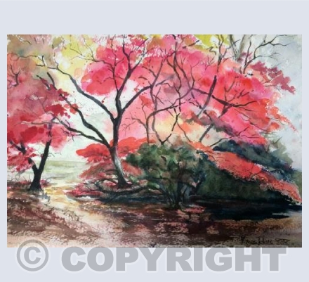 Wonderful Westonbirt