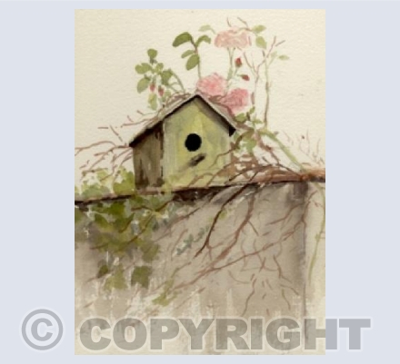 Roses Around the Door!