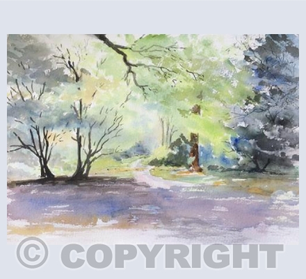 Walk in the Woods