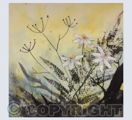 Summer Woodland