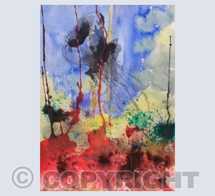  Blazing Coral