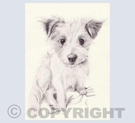 Milly