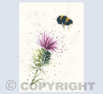 Thistle and bee
