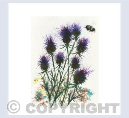 Thistles and bee