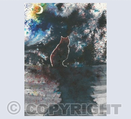 Stromness kitty