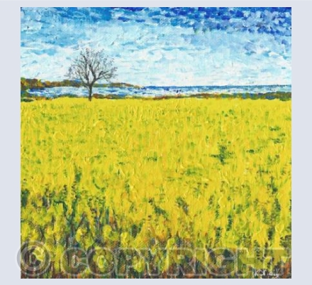 Norfolk fields