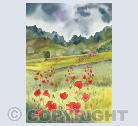 Poppies at Poolewe