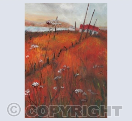 Caithness-Dunnet Head