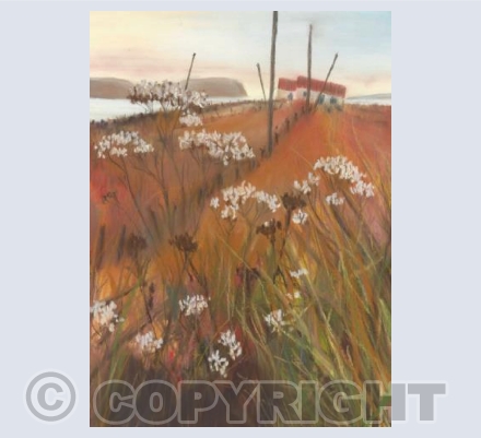 Caithness-Dunnet Head