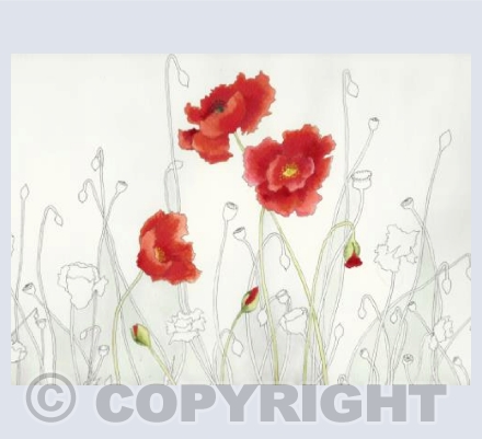 Poppies