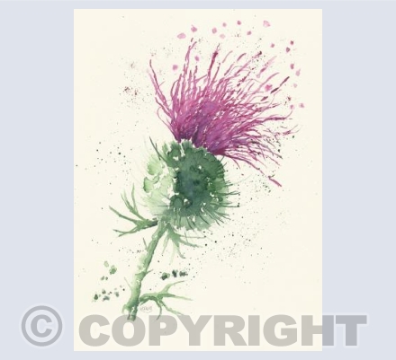 loose thistle