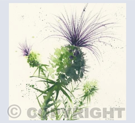 Thistles