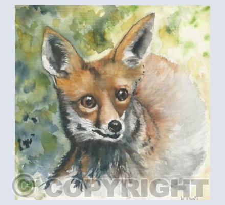 Fox portrait (courtesy of Karen O'Reilly)