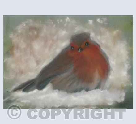 robin in snow