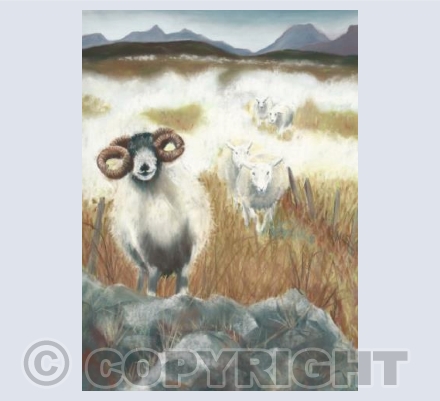 sheep in the mist