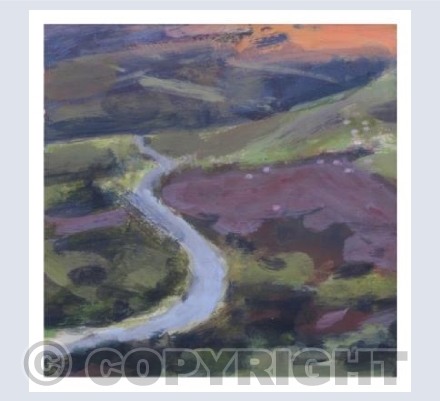 Out on Dartmoor - Winding road