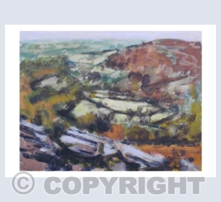 Looking out from Hound Tor No1