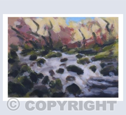 River Dart No1