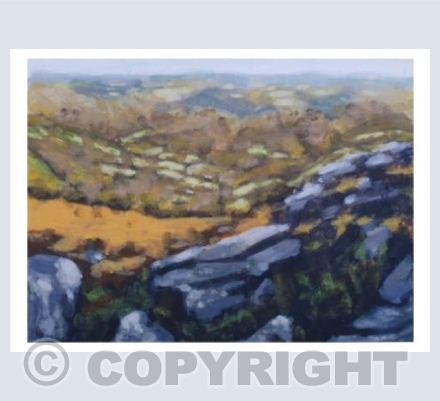 Looking out from Hound Tor No2 