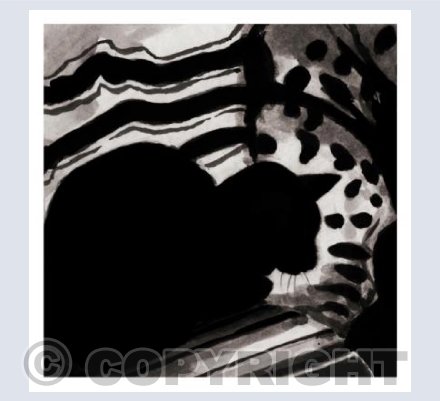 Cat no2