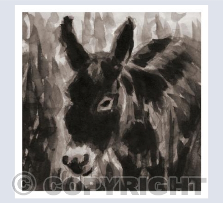 Donkey no2