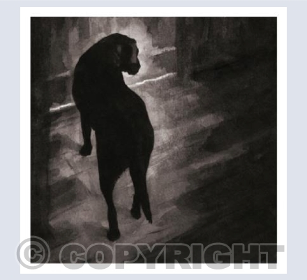 Dog waiting at the door