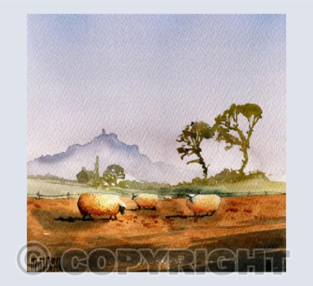 Sheep under the Tor
